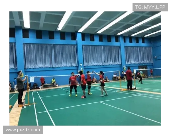 深圳羽毛球队区域防守创新之路探秘与战术解析 深圳羽毛球队区域防守创新之路探秘与战术解析