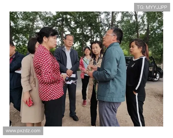 西安飞盘队的成功运营模式与发展策略深度解析