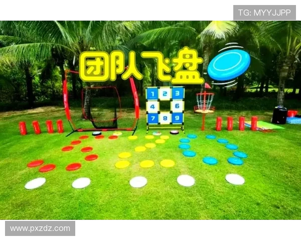 飞盘运动的崛起与发展专访赵静分享成功背后的故事与经验