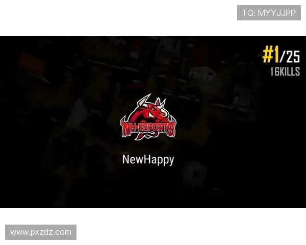 Danawa e-sports绝地求生战队重塑竞技格局展现非凡团队实力