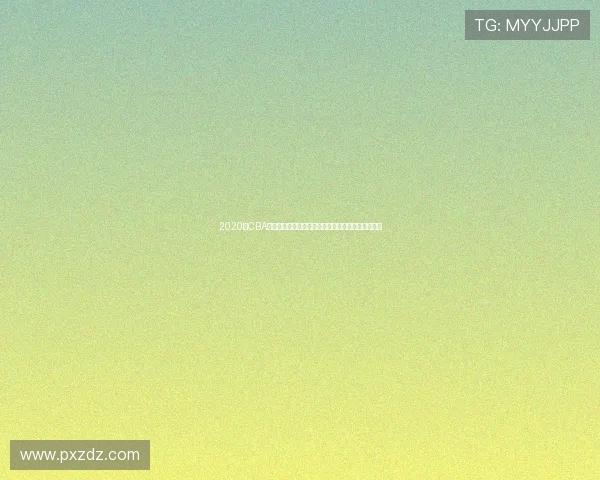 2020年CBA季后赛广东对阵辽宁精彩对决今晚上演球迷热情高涨