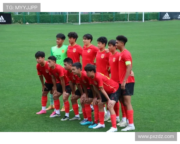 亚洲杯激战伊朗对决伊拉克球迷期待精彩对抗与历史交锋 亚洲杯激战伊朗对决伊拉克球迷期待精彩对抗与历史交锋