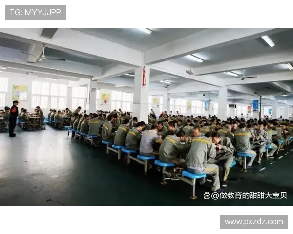 朱荣振的奋斗历程与成就探析：从平凡到卓越的启示与思考