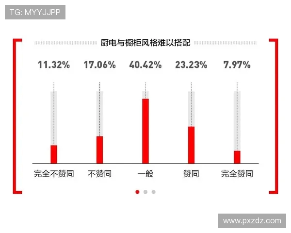 沙赫坤度若对决分析及其在现代文化中的影响探讨
